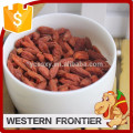 2016 Hot sale top quality with low price goji berry